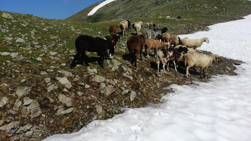 Ferienhaus Eiter Sankt Leonhard im Pitztal Kültér fotó